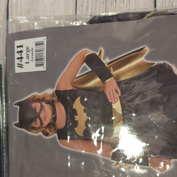 NEW Batgirl Large(12/14) Costume - Picture 3 of 4